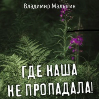 Где наша не пропадала - Владимир Малыгин