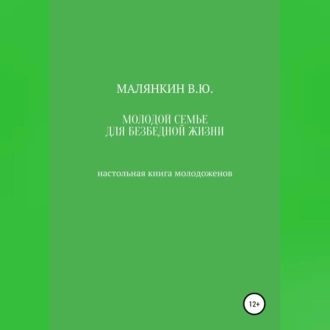 Молодой семье для безбедной жизни. Настольная книга молодоженов - Владимир Юрьевич Малянкин