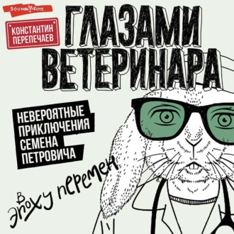 Глазами ветеринара. Невероятные приключения Семена Петровича в эпоху перемен - Константин Перепечаев