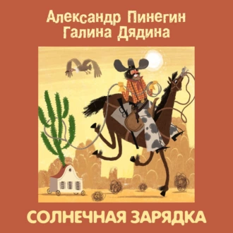 Солнечная зарядка — Александр Пинегин