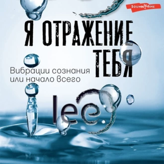 Я отражение тебя. Вибрации сознания или начало всего - lee