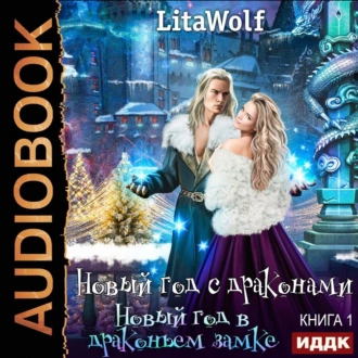 Новый год в драконьем замке - LitaWolf