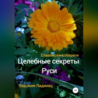 Целебные секреты Руси. Славянские обереги — Евдокия Ладинец