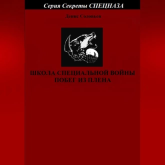 Школа специальной войны. Побег из плена - Денис Соловьев