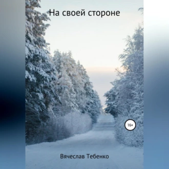 На своей стороне - Вячеслав Тебенко