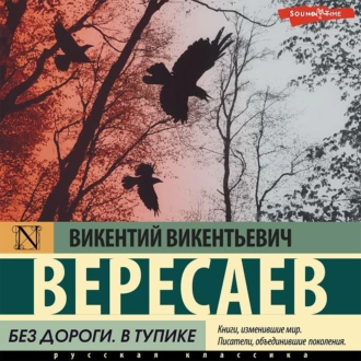 Без дороги. В тупике — Викентий Вересаев