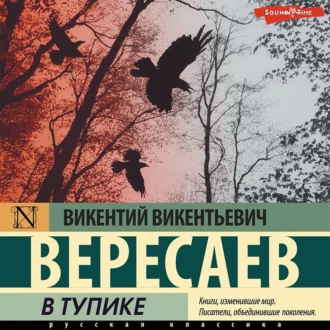 В тупике - Викентий Вересаев