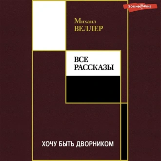 Хочу быть дворником (сборник) - Михаил Веллер