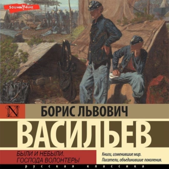 Были и небыли. Книга 1. Господа волонтеры — Борис Васильев