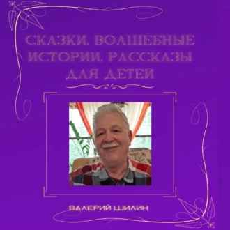 Сказки, волшебные истории, рассказы для детей - Валерий Шилин