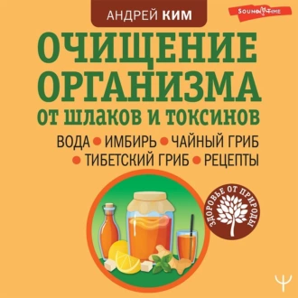 Очищение организма от шлаков и токсинов. Вода. Имбирь. Чайный гриб. Тибетский гриб. Рецепты - Андрей Ким