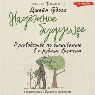 Надёжное будущее. Руководство по выживанию в трудные времена - Дуглас Абрамс Арава