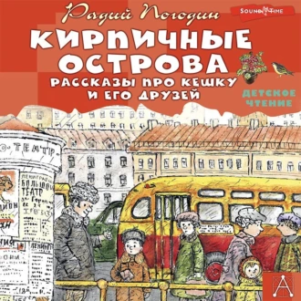 Кирпичные острова. Рассказы про Кешку и его друзей - Радий Погодин