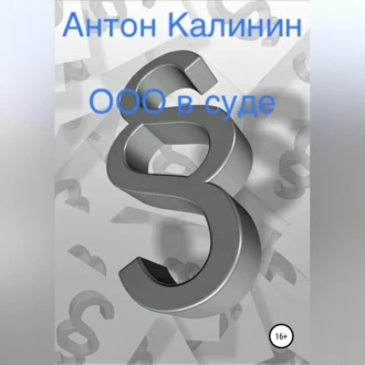 ООО в суде - Антон Олегович Калинин