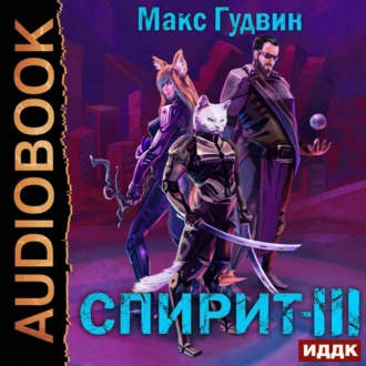 СПИРИТ. Книга 3 - Макс Гудвин