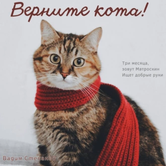 Верните кота - Вадим Степанов