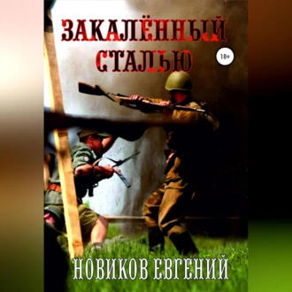 Закалённый сталью — Евгений Витальевич Новиков