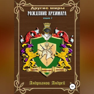 Другие Миры. Книга 1. Рождение Архимага - Андрей Петрович Андрианов