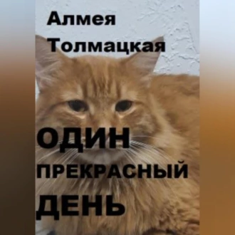 Один прекрасный день - Алмея Толмацкая