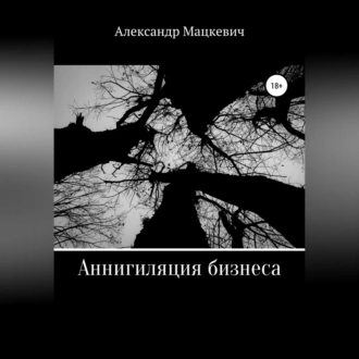 Аннигиляция бизнеса — Александр Вениаминович Мацкевич