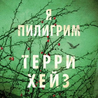 Я Пилигрим - Терри Хейз