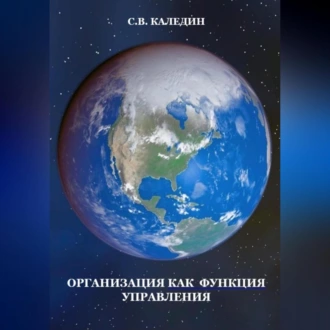 Организация как функция управления — Сергей Каледин