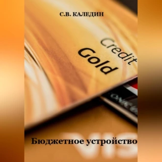 Бюджетное устройство — Сергей Каледин