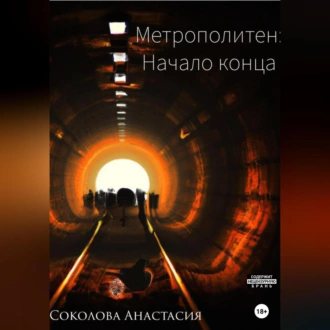 Метрополитен: начало конца - Анастасия Соколова