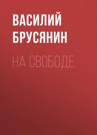 На свободе — Василий Брусянин