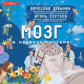 Мозг и нервная система — Игорь Юрьевич Сергеев