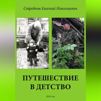 Путешествие в детство - Евгений Николаевич Стребков