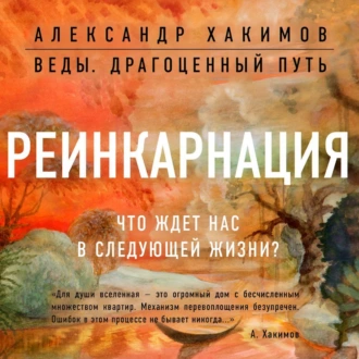 Реинкарнация. Что ждет нас в следующей жизни? — Александр Хакимов