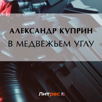 В медвежьем углу — Александр Куприн