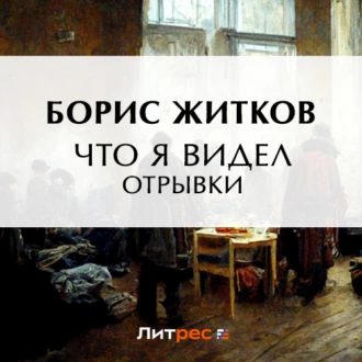 Что я видел (отрывки) — Борис Житков