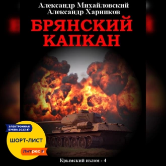 Брянский капкан - Александр Михайловский