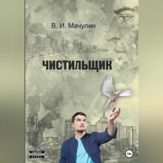 Чистильщик - Владимир Иванович Мачулин