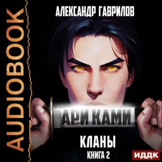 Ари Ками. Книга 2. Кланы - Александр Гаврилов