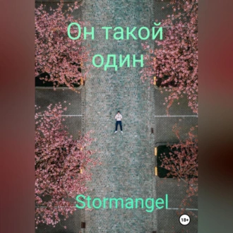 Он такой один - Stormangel