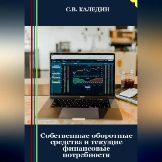 Собственные оборотные средства и текущие финансовые потребности — Сергей Каледин