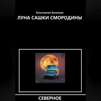 Луна Сашки Смородины - Константин Антонюк