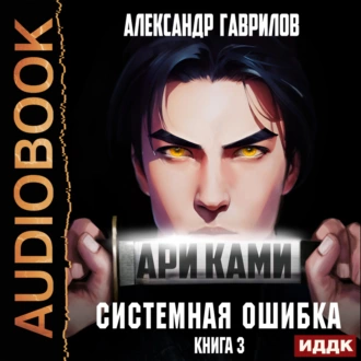 Ари Ками. Книга 3. Системная ошибка - Александр Гаврилов