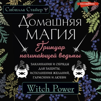 Домашняя магия. Гримуар начинающей ведьмы. Заклинания и обряды для защиты, исполнения желаний, гармонии и любви — Сибилла Стайер