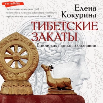 Тибетские закаты. В поисках тонкого сознания - Елена Кокурина