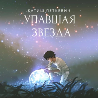 Упавшая звезда - Катиш Петкевич