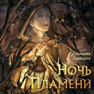 Ночь пламени - Амелия Ламберте