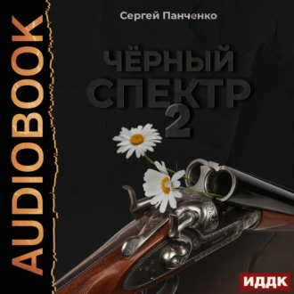 Черный спектр. Книга 2 - Сергей Панченко