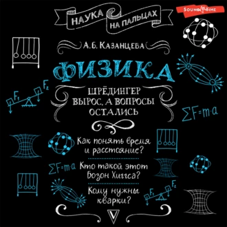 Физика. Шрёдингер вырос, а вопросы остались - А. Б. Казанцева