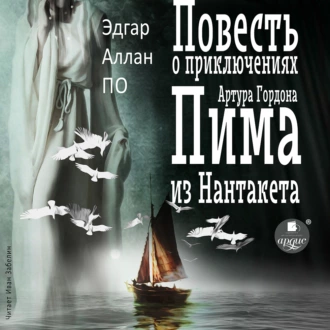 Повесть о приключениях Артура Гордона Пима из Нантакета - Эдгар Аллан По