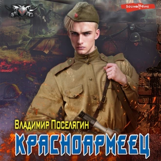 Красноармеец — Владимир Поселягин