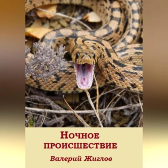 Ночное происшествие — Валерий Жиглов